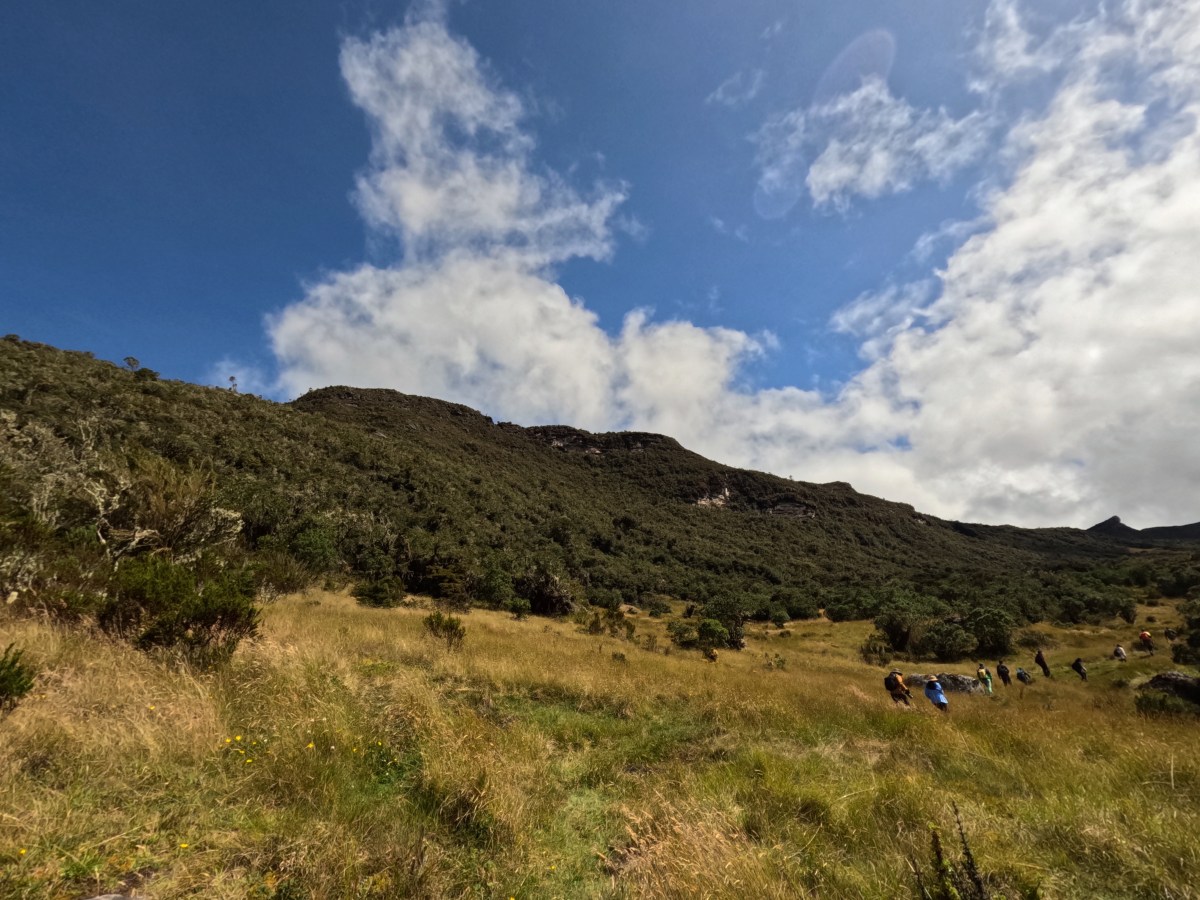 Lo que amamos a veces nos pide pausa. Parque Nacional Natural Chingaza