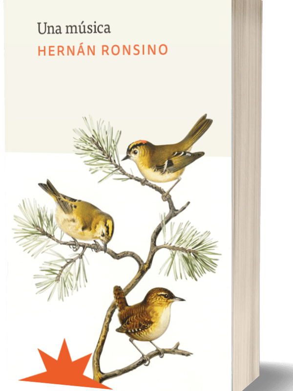 Reseña del libro Una música de Hernán Ronsino