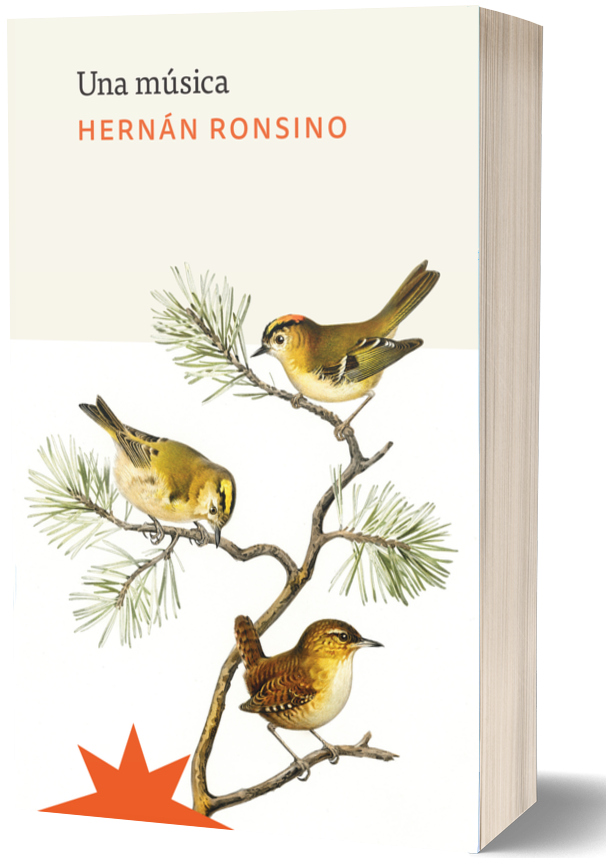 Reseña del libro Una música de Hernán Ronsino